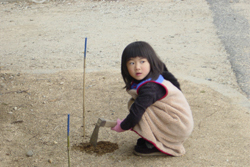 植樹会