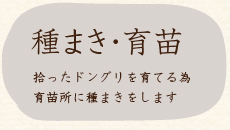 下草刈り原不動滝にて